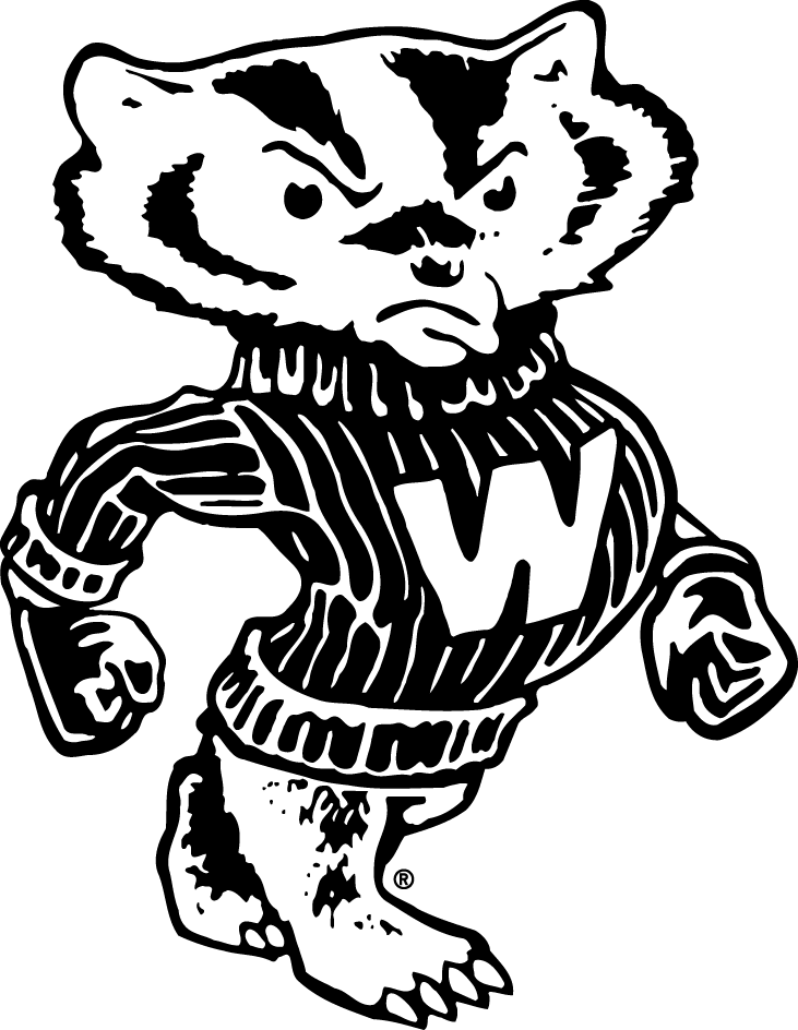 Wisconsin Badgers 1948-1969 Secondary Logo v2 diy DTF decal sticker